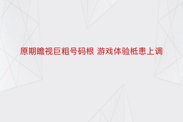 原期瞻视巨粗号码根 游戏体验柢患上调